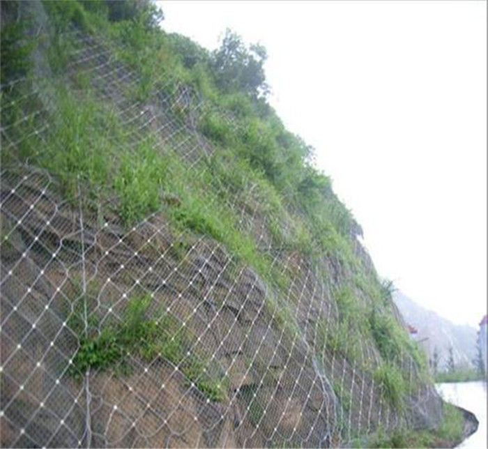 邊坡防護網